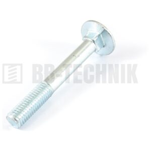 Skr.vrat.DIN 603 ZN+m M 8x50 100 ks