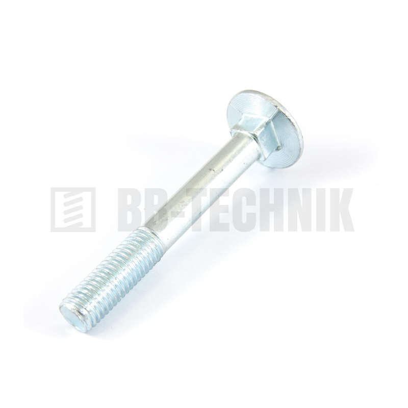 Skr.vrat.DIN 603 ZN+m M 8x50 100 ks