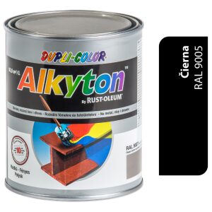 Alkyton matná čierna R9005 1l