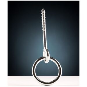 Oko s vrútom a s krúžkom M6x60 pozinkované