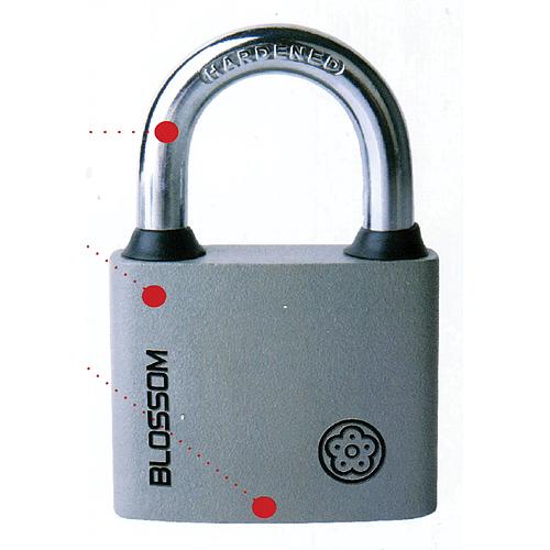 Zámok Blossom BC29 38mm