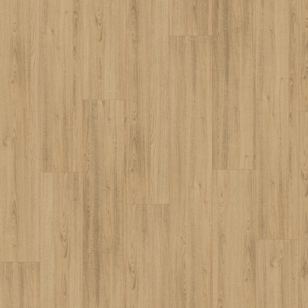 Laminát Basic 7/31 EBL043 V4 Dub Charlotte prírodný