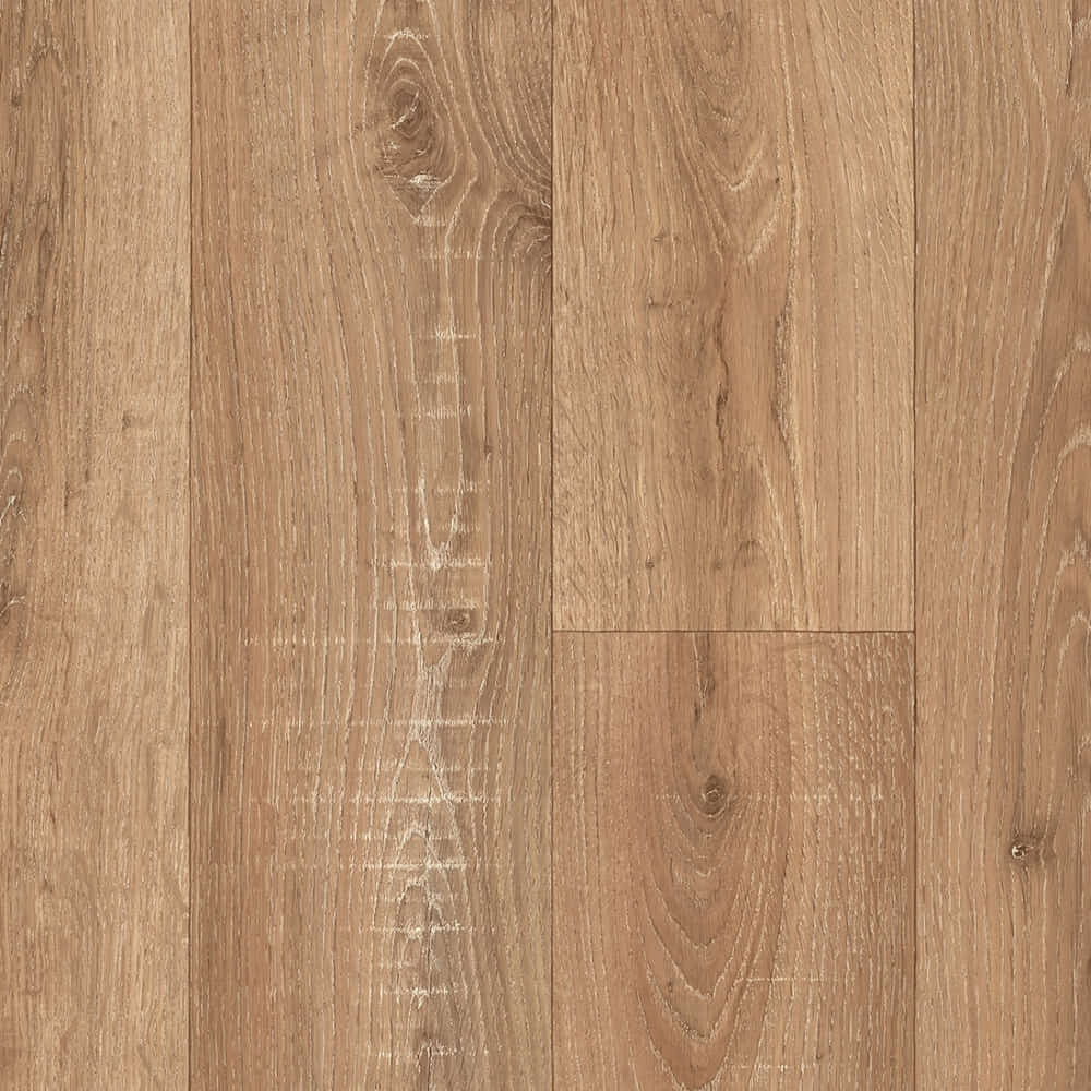 Texas New/Novotex Sorbonne 536 4m